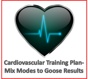 cardiovascular training plan