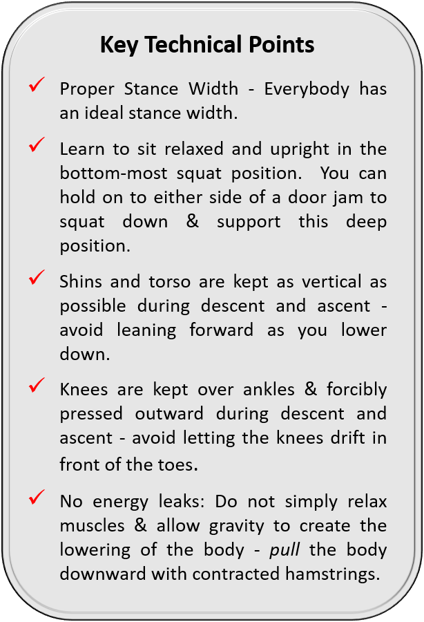 squat key technical points