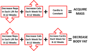 tao of transformation