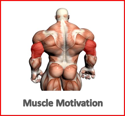 muscle motivation