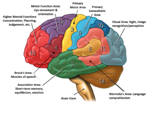 How to Focus the Mind | Functional Strength