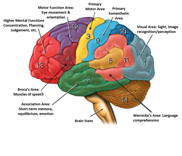 How to Focus the Mind | Functional Strength