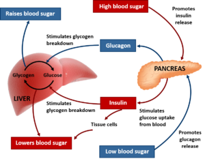 parrillo performance