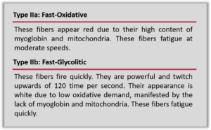 cardio training program