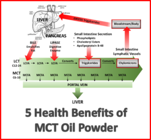 benefits of mct oil powder