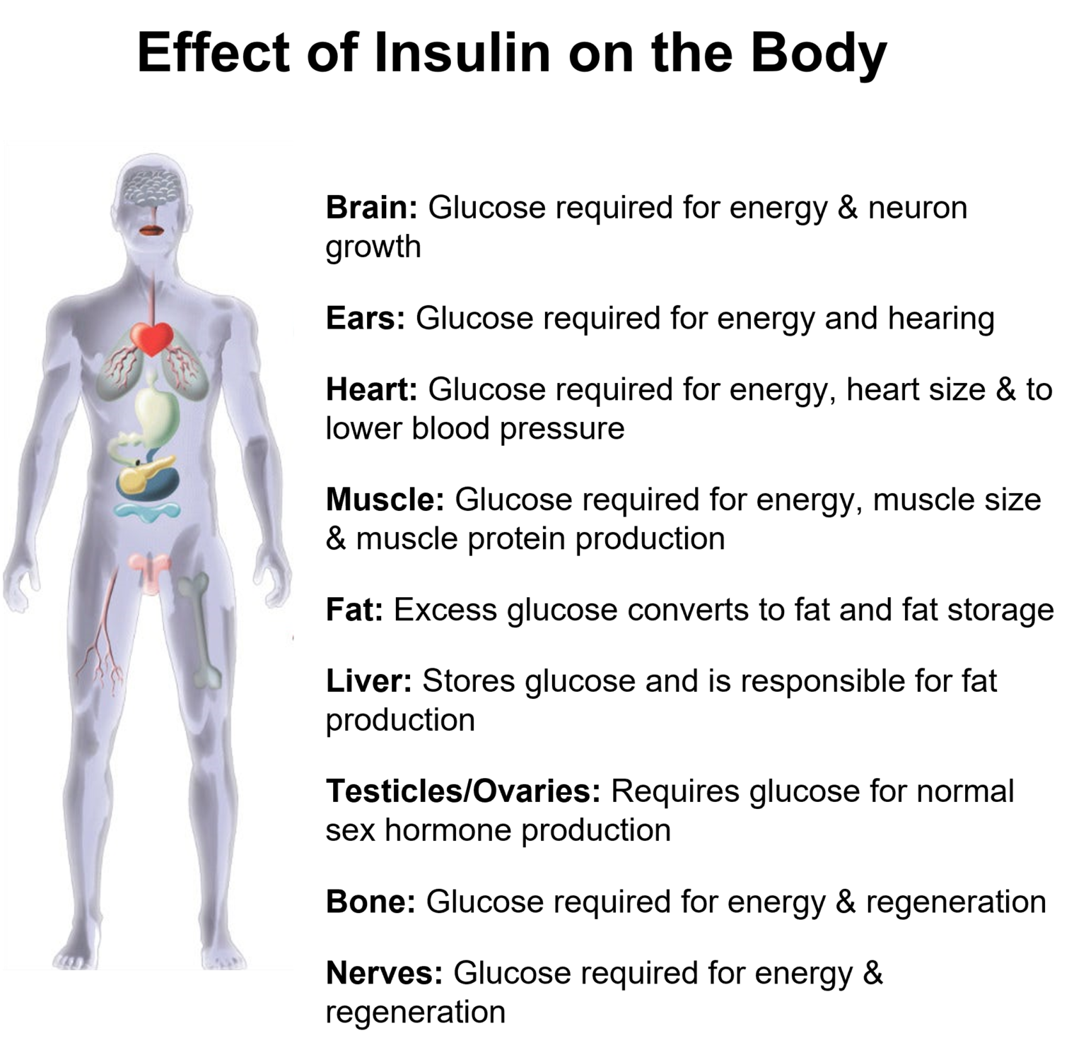 The Intersection of Taste and Health Functional Strength