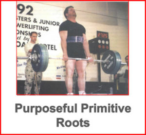 purposeful primitive