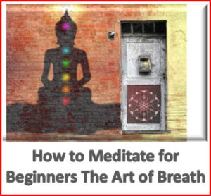 beginner meditation