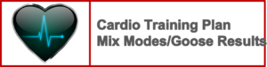 cardio training plan